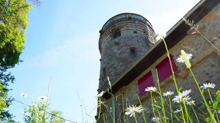 Stadtmagazin Bensheim, Ausflugstipp Hemsbergturm, 14.06.2021, Foto: Thomas Zelinger