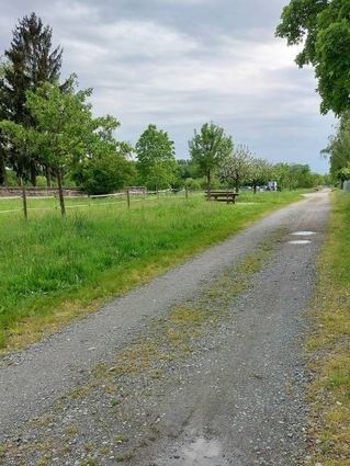 Der Ortsbeirat Fehlheim fordert eine Aufwertung des Feldweges „Im Hühnerfeld“.