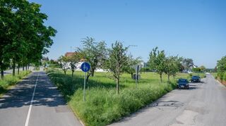 Sechs Häuser mit 43 Wohneinheiten könnten in Fehlheim an der Rodauer Straße entstehen. Zu viele, findet der Ortsbeirat, der ein städtebauliches Konzept für das Gebiet einstimmig ablehnt und eine Überarbeitung fordert.