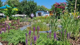 Zum „Tag der offenen Gärten“ wird am Sonntag, 26. Mai, eingeladen. An neun Stationen können in Zwingenberg die unterschiedlichsten Grünanlagen angeschaut werden – vom Naturgarten bis zum romantischen Garten.