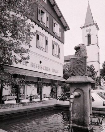 Der Löwenbrunnen 1990.