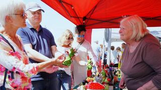 Zwingenberg, Kunsthandwerker- und Mittelaltermarkt in Zwingenberg,20.05.2024; Foto: Thomas Zelinger