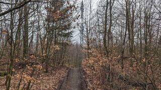 Ringwall der Heuneburg