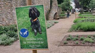 Auf das frische Grün im „Marianne-Cope-Garten“ am Graben sollen Passanten und Hundehalter achten. Darauf weist ein Schild hin.