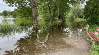 Der Rundweg um den Heppenheimer Bruchsee ist durch den hohen Wasserstand teilweise nicht mehr begehbar.