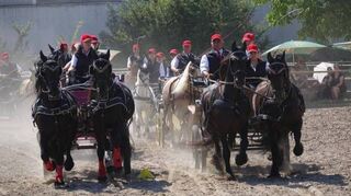 Die Nibelungenquadrille Odenwald.