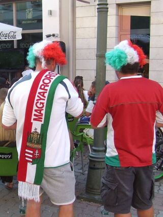 Beim Public Viewíng im Mohács sind die Fans begeistert bei der Sache und viele kommen in den Nationalfarben rot-weiß-grün.