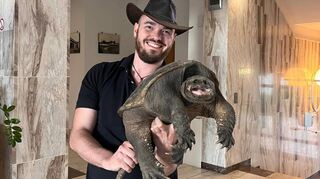 Kevin Keßler nimmt Schnappschildkröte „Schnappi“ im Bibliser Rathaus-Foyer in Empfang. Feuerwehrleute hatten das Tier während der Dammwache an einem Deich entlang der Weschnitz entdeckt.
