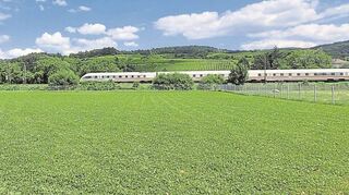 Eine leere Wiese ist die neue Multifunktionsfläche am Erbachwiesenweg, die ab mor-gen für Freizeitaktivitäten genutzt werden kann. Rechts die Hundewiese.