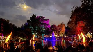 In den Abendstunden wird das Birkengarten-Areal in der Mannheimer Straße an allen Festivaltagen illuminiert.