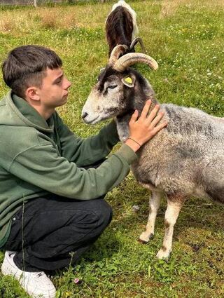 „Annette“, von der Rasse „Guteschaf“, hat einen guten Draht zu Viktor.
