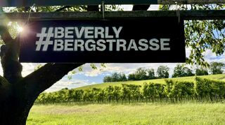 Impressionen vom Hessentagsweg: Wiesen, Felder, Wälder und Weinberge – die Rundtour mit der Markierung S1 ist äußerst abwechslungsreich und vereint die landschaftlichen Reize von Bergstraße und Odenwald.