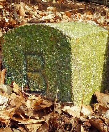 Grenzstein im Felsbergwald