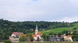 Vor der Stadt Wien liegen zahlreiche Weinberge.
