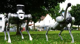 Winken, Springen, Sitzen: Auf der Wiese vor dem Firmenareal zeigten die Roboterhunde, was sie alles können.