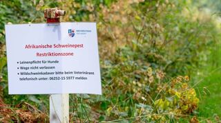 Verbote, die nicht immer gerne akzeptiert werden. Unser Bild stammt vom 1. August. Inzwischen zählen zahlreiche Bergsträßer Kommunen zur Sperrzone II und nicht mehr zur Restriktionszone. Alle Schilder wurden jedoch noch nicht ausgetauscht. Die genannten Vorsichtsmaßnahmen aber bleiben.