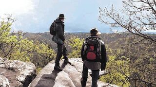 Die Wanderer über dem Baummeer. Der Drachenfels gibt nicht nur viele Rätsel auf, sondern bietet auch ein grandioses Panorama.