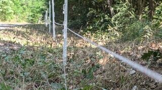 Ein Elektrozaun bei Einhausen: Die Maßnahmen gegen die Ausbreitung der Afrikanischen Schweinepest in der Region werden ausgeweitet.