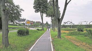 Wurzeln haben den Radweg an der B3, hier Richtung Heppenheim, erneut beschädigt. Gleichwohl nutzen ihn viele.