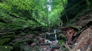 Einer der Ausflugs-Tipps ist die Wolfsschlucht. Wer hier unterwegs ist, sollte Wanderschuhe tragen - denn die Steine sind oft glitschig.