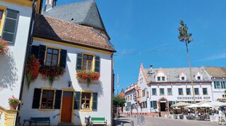 Das Museum für Weinkultur im Historischen Rathaus (links) und das Hotel Deidesheimer Hof, in dem Helmut Kohl und seine Staatsgäste den Saumagen aßen.