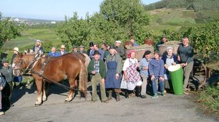 Anlässlich des 100-jährigen Bestehens gab es im Jubiläumsjahr 2004 eine historische Weinlese.