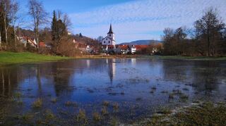 Überflutete Stockwiesen bei Reichelsheim.