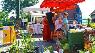 Saatgut mit samenfesten Sorten zu finden, ist nicht leicht. Ein tolles Angebot gab es beim Lindenfelser Ökomarkt. Der Stand fand sich auf dem Parkplatz am Löwenbrunnen.