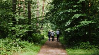 Im rheinland-pfälzischen Dudenhofen gibt es seit 2008 einen Friedwald.