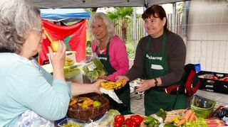 Beim Tag der Nachhaltigkeit in der Bensheimer Innenstadt wurden am Samstag defekte Geräte im Repiar-Café gerettet (Bild oben), die Food Sharing-Initiative (Bild li.) bewahrt Lebensmittel vor der Mülltonne und der BUND hatte lagerfähige Äpfel von der heimischen Streuobstwiese dabei (Bild re.).