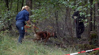 Die Polizei durchsucht das Waldgebiet bei Lampertheim, in dem die getötete Frau gefunden wurde.