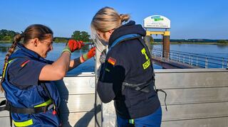 Trotz wachsender Klagen über mangelndes Engagement zeigen Statistiken, dass fast 40 Prozent der Bundesbürger ab 14 Jahren ehrenamtlich aktiv sind.