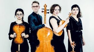 Das Chaos String Quartet wird am 12. Oktober im Diefenbachsaal eine italienische Reise zu Gehör bringen.