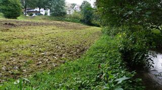 Idyllisches Gewässer: Der Stadtbach bei Kirschhausen kann bei Starkregen zur Gefahr für den Stadtteil werden.