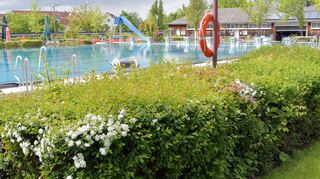Der SCH nutzt auf vielfältige Weise das Heppenheimer Freibad, u.a. alle vier Jahre für die Kreismeisterschaften, an denen auch andere Vereine wie DJK/SSG Bensheim und SG Neptun Lampertheim teilnehmen.