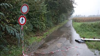 In der Nähe der Mannheimer Pferderennbahn ist die Leiche einer Frau gefunden worden.