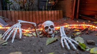 Am Halloween-Haus in Auerbach kann man sich vom 26. bis 31. Oktober täglich ab 16 Uhr gruseln.