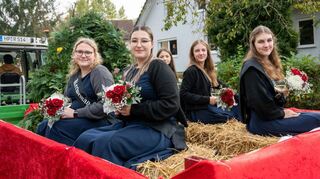 Am vergangenen Wochenende wurde die 190. Kerb in Gronau gefeiert, einer der Höhepunkte war der Keweumzug am Sonntag, bei dem die Kerwemädchen vom Wagen grüßten (Bild li.). Auch das Thema afrikanische Schweinepest (re.) wurde vom Kerwevolk in fantasievollen Kostümen aufgegriffen und umgesetzt.
