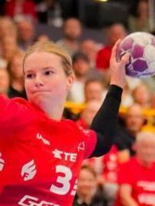 Weitere Flames-Internationale (von links): Berger, Dekker, Nukovic und Fehr.