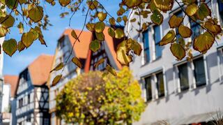 Für die Berechnung der Grundsteuer wird der Bodenrichtwert als Basis genommen, weil er die Wertigkeit und Attraktivität des Standorts widerspiegelt. Je attraktiver, desto höher liegt der Wert.