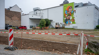 Das Graffito an der Fassade des Parktheaters soll bald durch eine Fassadenbegrünung ergänzt werden. Vom „Urban Gardening“ hat sich die Stadt aber verabschiedet.
