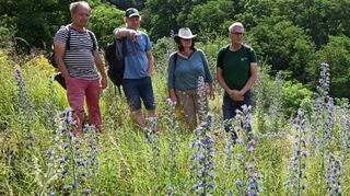 Im Sommer wurden Flächen des Vereins Alte Burg von einer Jury der Initiative „Tausend Arten Tausend Gärten Förderung der Artenvielfalt“ ausgezeichnet. Das Bild zeigt die Begehung eines Areals durch die Jury und Vereinsmitglieder.