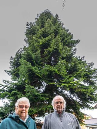 Roswitha und Horst Gaber im Garten vor ihrer Tanne: 1969 war sie der erste Weihnachtsbaum des frisch verheirateten Ehepaars.