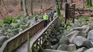 Im Februar 2023 wurde die Felsenmeerbrücke abgerissen. Bereits im Mai 2021 wurde sie gesperrt. Das 36 Meter lange Bauwerk wurde 2006 vom Naturpark Bergstraße-Odenwald in Zusammenarbeit mit der Gemeinde Lautertal errichtet. Sie hatte eine Reihe von Vorgängern. Diese querten den Granitblockstrom an seiner wohl imposantesten Stelle.