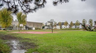 Wo derzeit nur Wiese und ein Basketballplatz zu sehen sind, soll in knapp zwei Jahren die Schule mit innovativem Raumkonzept naturnahes Lernen ermöglichen.