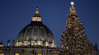 Eine mächtige Rottanne soll dieses Jahr den Petersplatz schmücken.