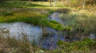 Rotes Wasser bei Olfen