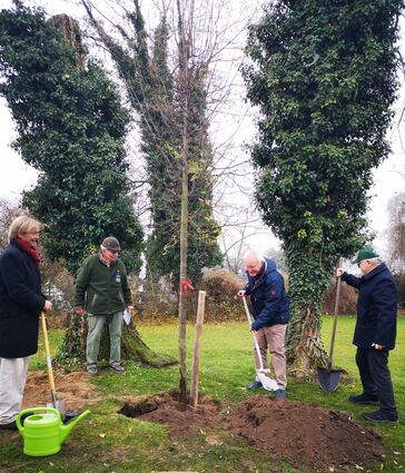 Zum Spaten griffen am Sonntag im Kirchgarten (v.r.) die Vorstandsmitglieder der Schutzgemeinschaft Deutscher Wald Wolfram Grüneklee und Claus Schubert, Ehrenvorsitzender Werner Groß sowie auch Pfarrer Keller.