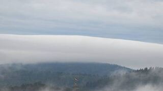 Hochnebel nahe der Burg Falkenstein über den Taunushöhen.