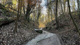 Ein Abschnitt des Brunnenwegs, der von der mittleren Ernst-Ludwig-Straße zum Wambolder Sand führt. Hier finden sich ingesamt sechs alte Brunnenkammern.